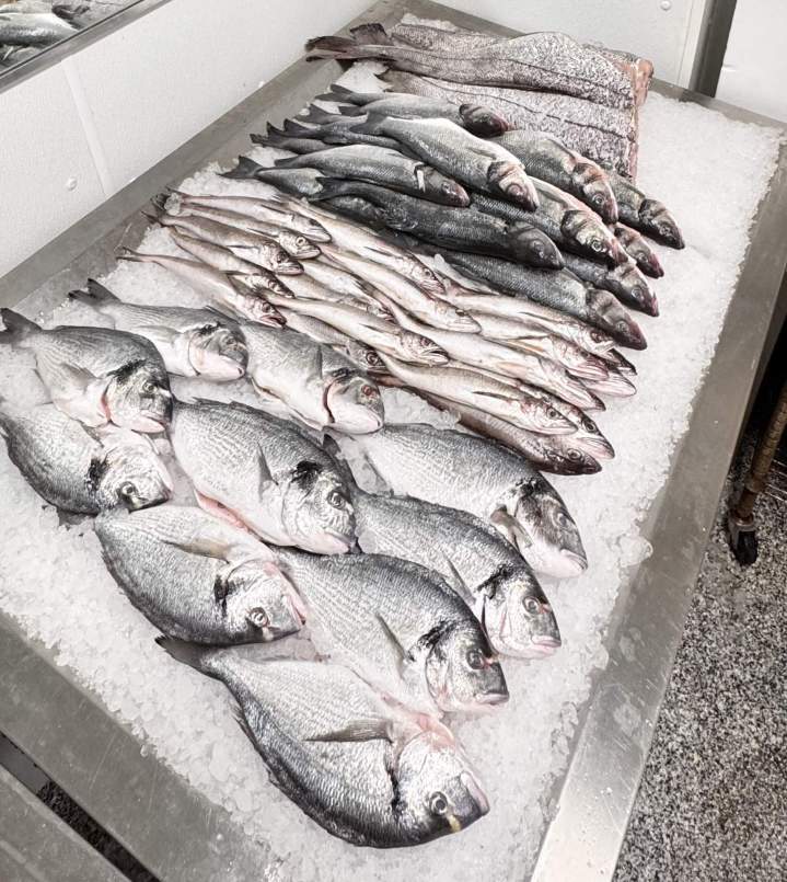 Vente de poissons Montréal